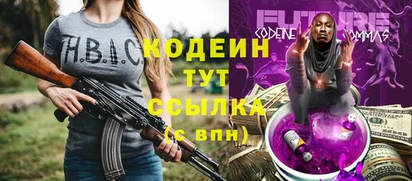 мет Инта