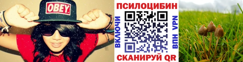 Псилоцибиновые грибы GOLDEN TEACHER Кунгур